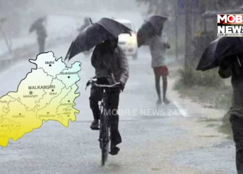 Yellow Warning For Rain, Thunderstorm In 14 Odisha Districts, check latest weather forecast